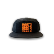 ROOTS 5 PANEL